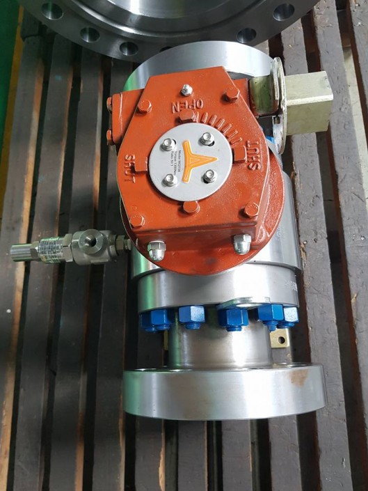MultiValve Technology DIB1 Valves supplied to Modec Serviços de Petróleo do Brasil